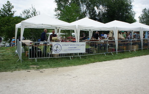 6853ce27a916f_DSC04484copie.JPG